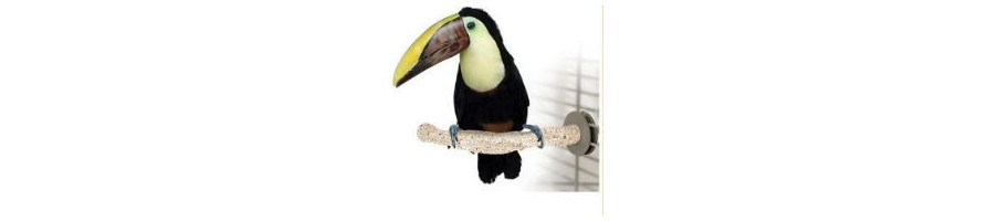 Slijtstokken voor papegaaien en parkieten ook hoekslijtstokken bij Lorre & co!