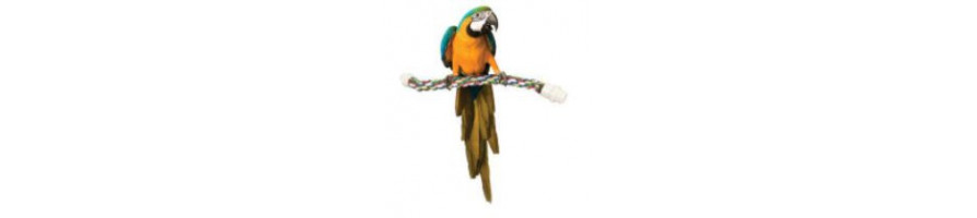 Papegaaien speeltouwen van de juiste kwaliteit vind u bij Lorre & co