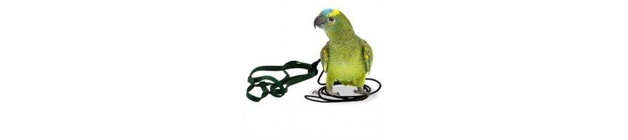 lorre & co | papegaaien speelgoed | Aviator papegaaien tuigjes