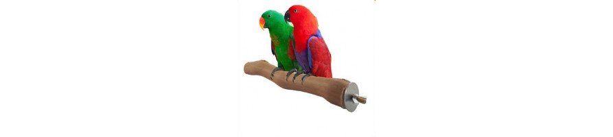 papegaaien Zitstokken en slijtstokken NU bij Lorre & co