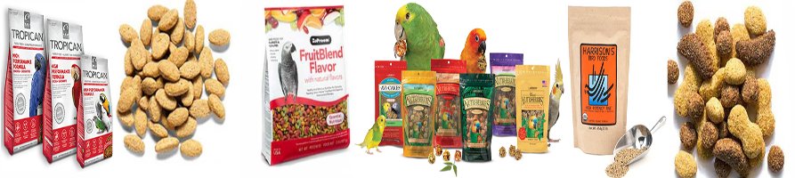 Parrot food | Parrot Food | Lorre & co